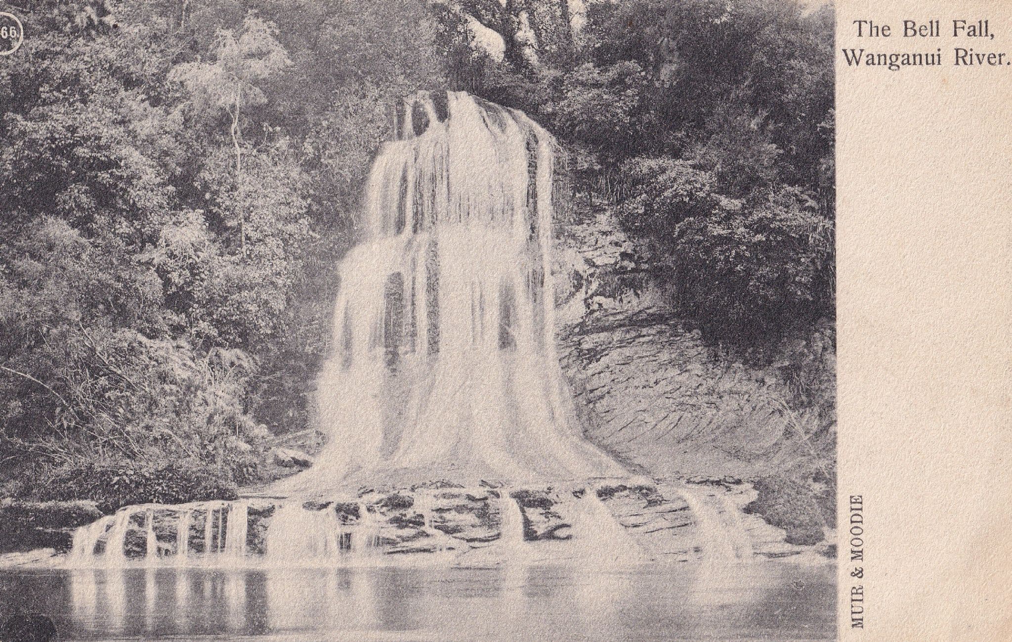The Bell Fall Wanganui River New Zealand Antique Postcard