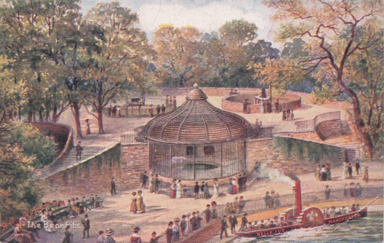 The Belle Vue Bear Pits Zoo Cage Manchester Old Postcard