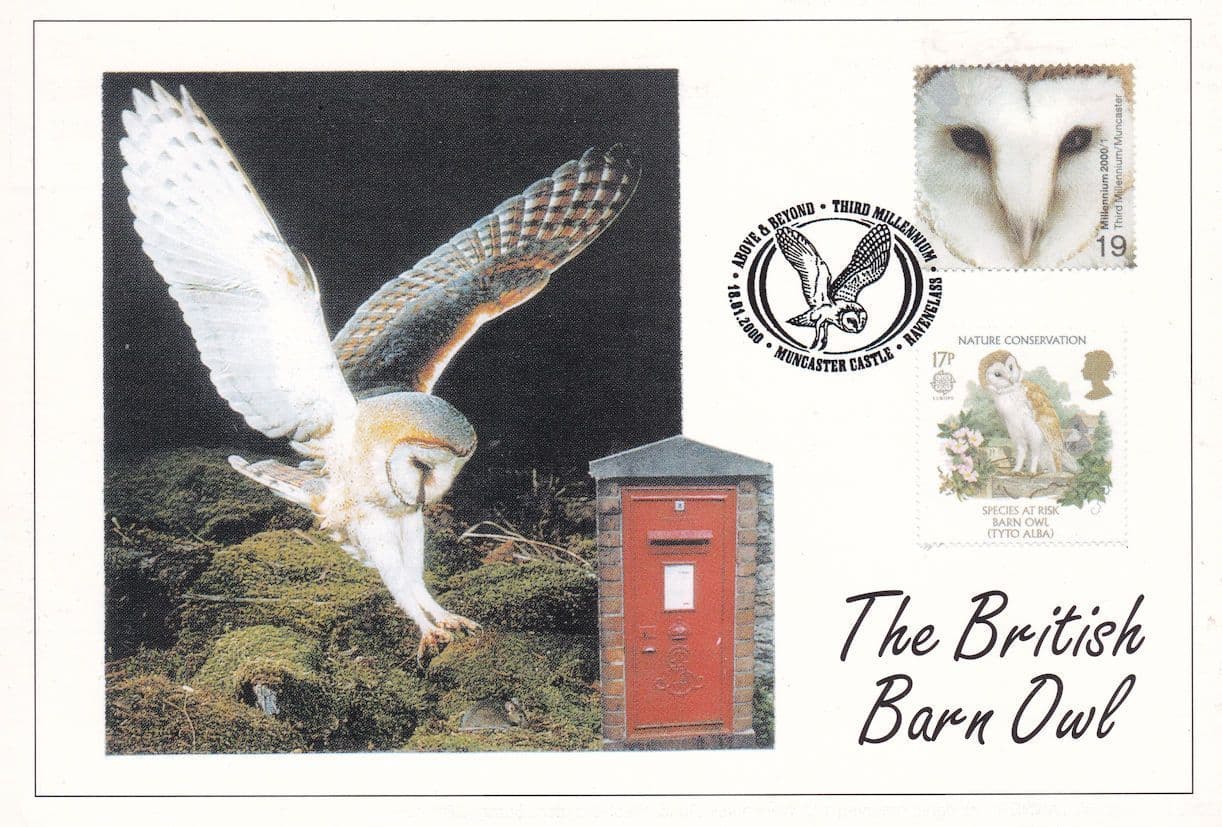The British Barn Owl Postbox Letter Pillar Box Postcard