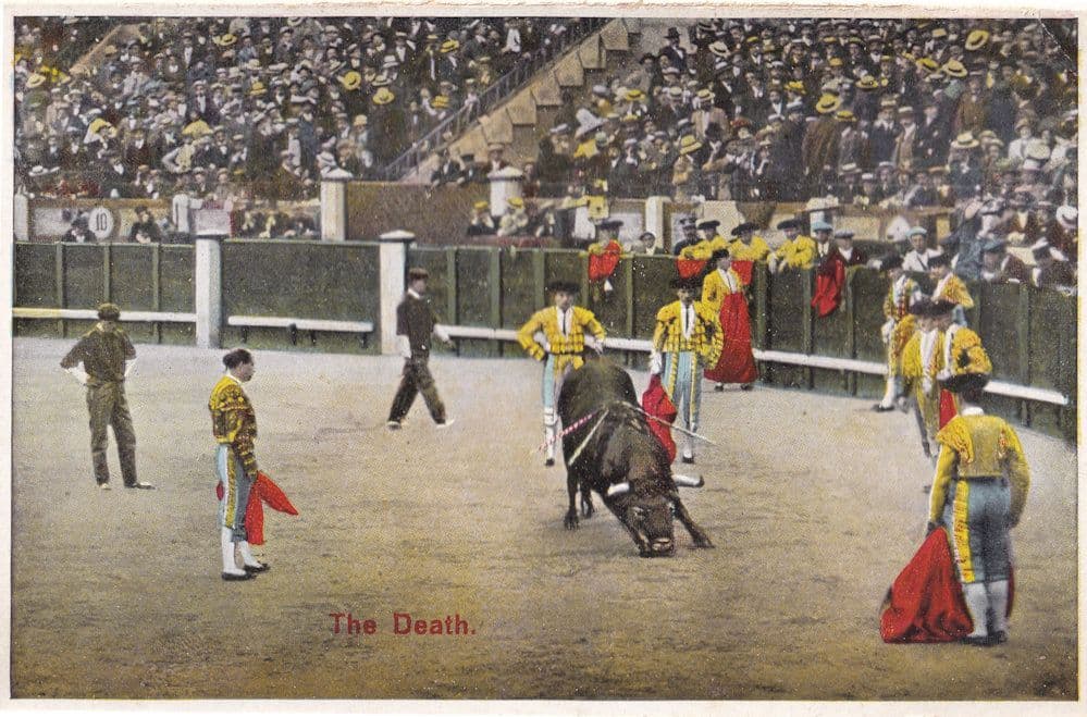 The Death Of The Bull 1920s Spanish Bullfight Antique Postcard