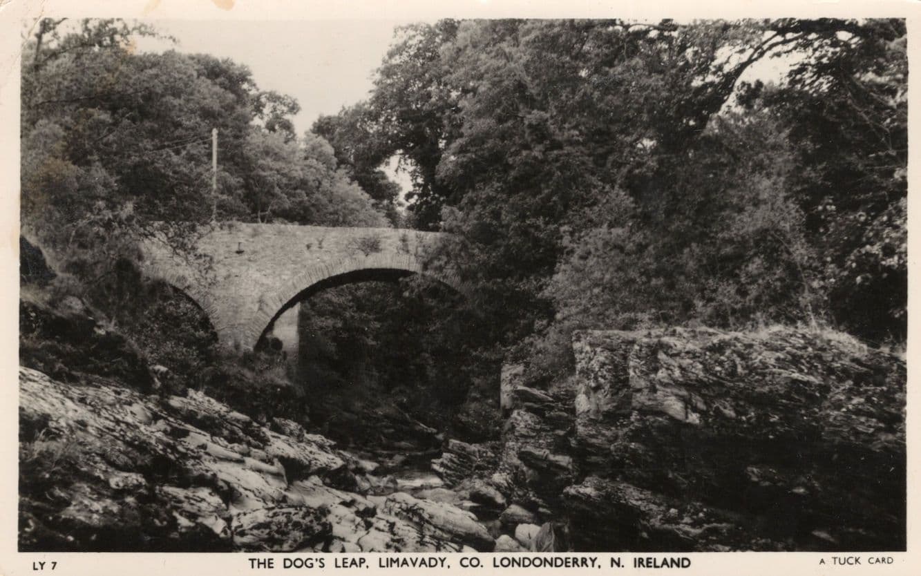 The Dog's Leaf Limavady Co Londonderry Ireland Old Postcard