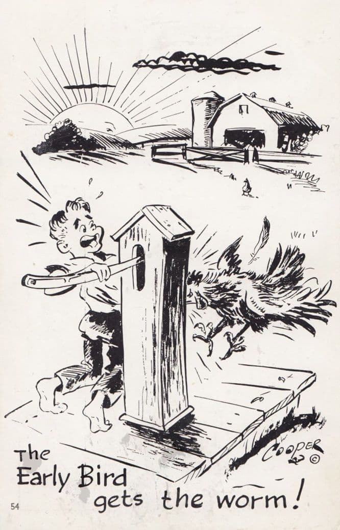 The Early Bird Gets The Worm Birds Nest House Angry Man Comic Postcard