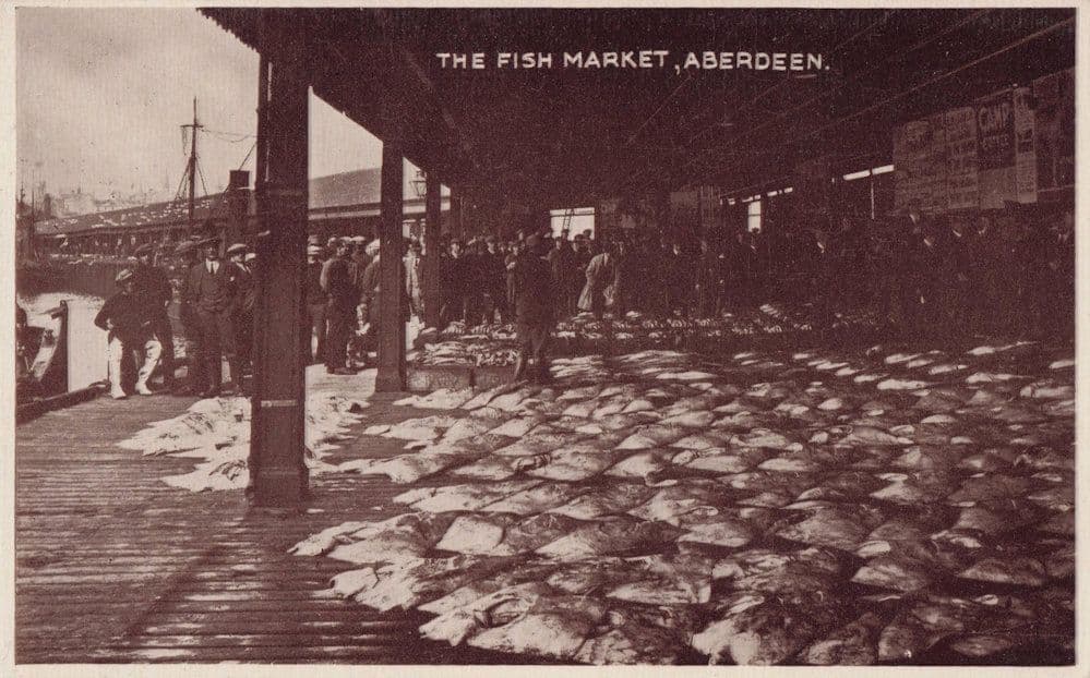 The Fish Market Aberdeen Phototone Vintage Rare Scottish Postcard