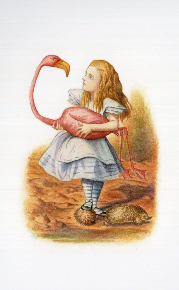 The Flamingo Diz Wallis Alice In Wonderland Lewis Carroll Book Postcard