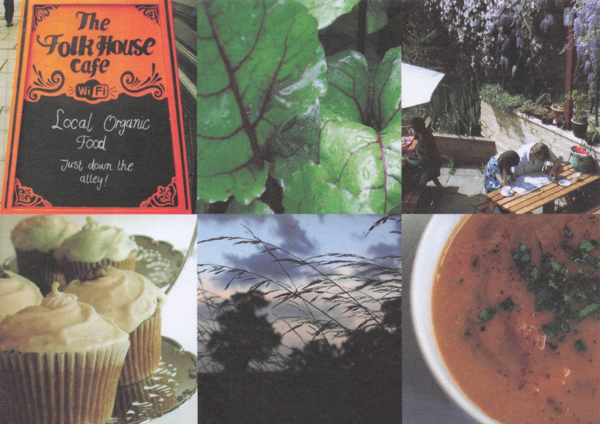 The Folk House Cafe Organic Restaurant Bristol Advertising Postcard