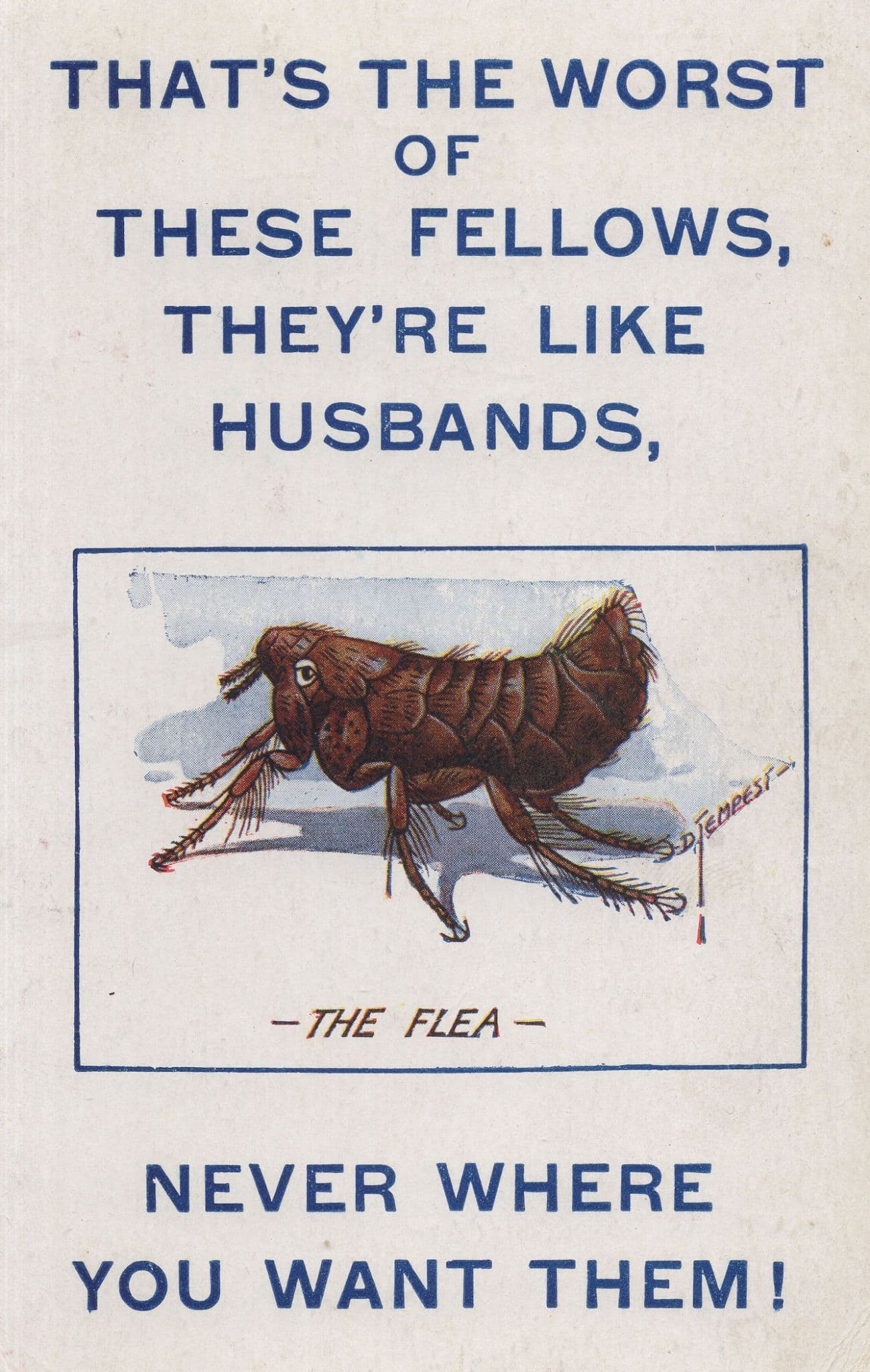 The Giant Flea Insect Antique Bamforth Comic Postcard