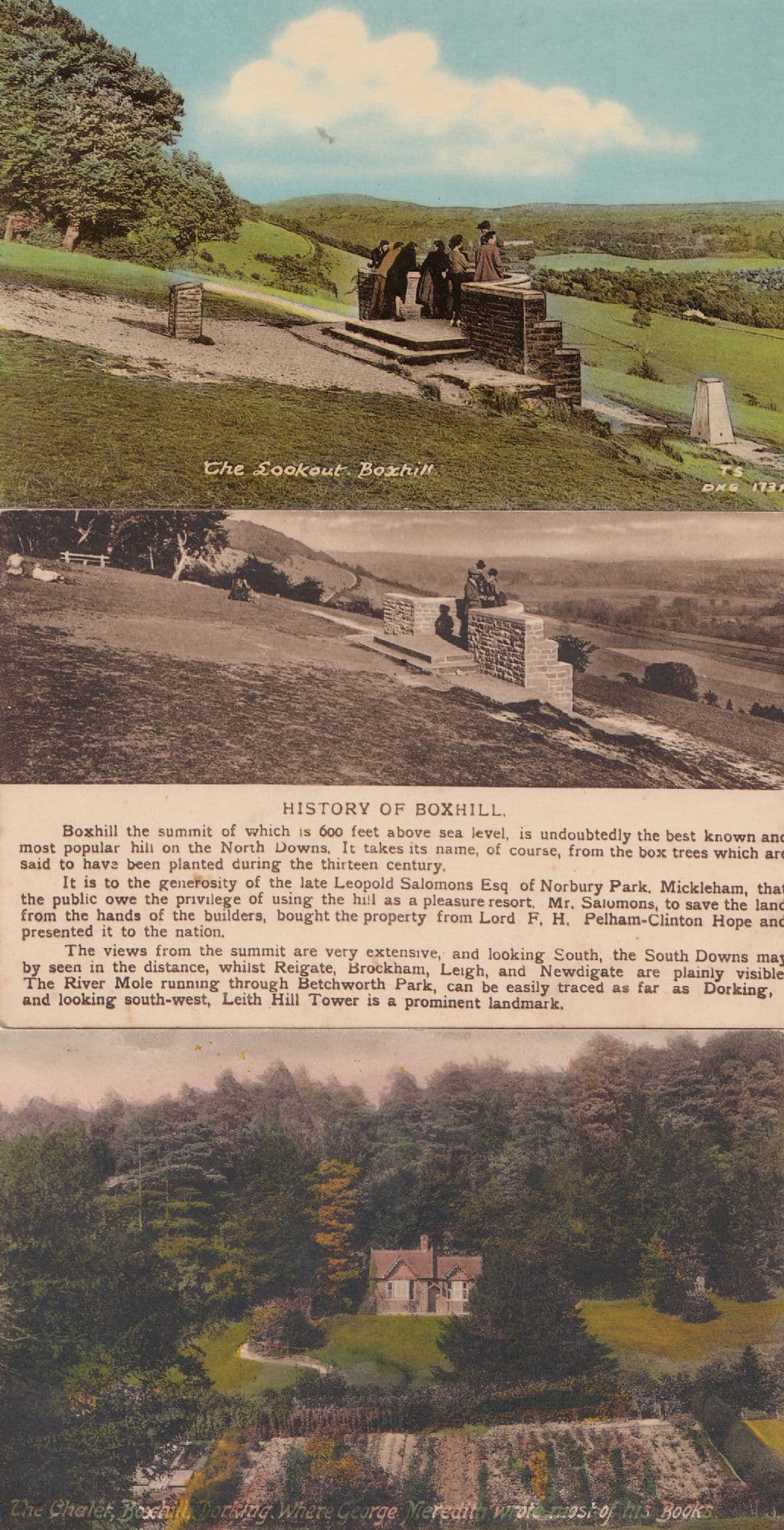 The History Of Boxhill Chalet Lookout 3x Surrey Postcard s