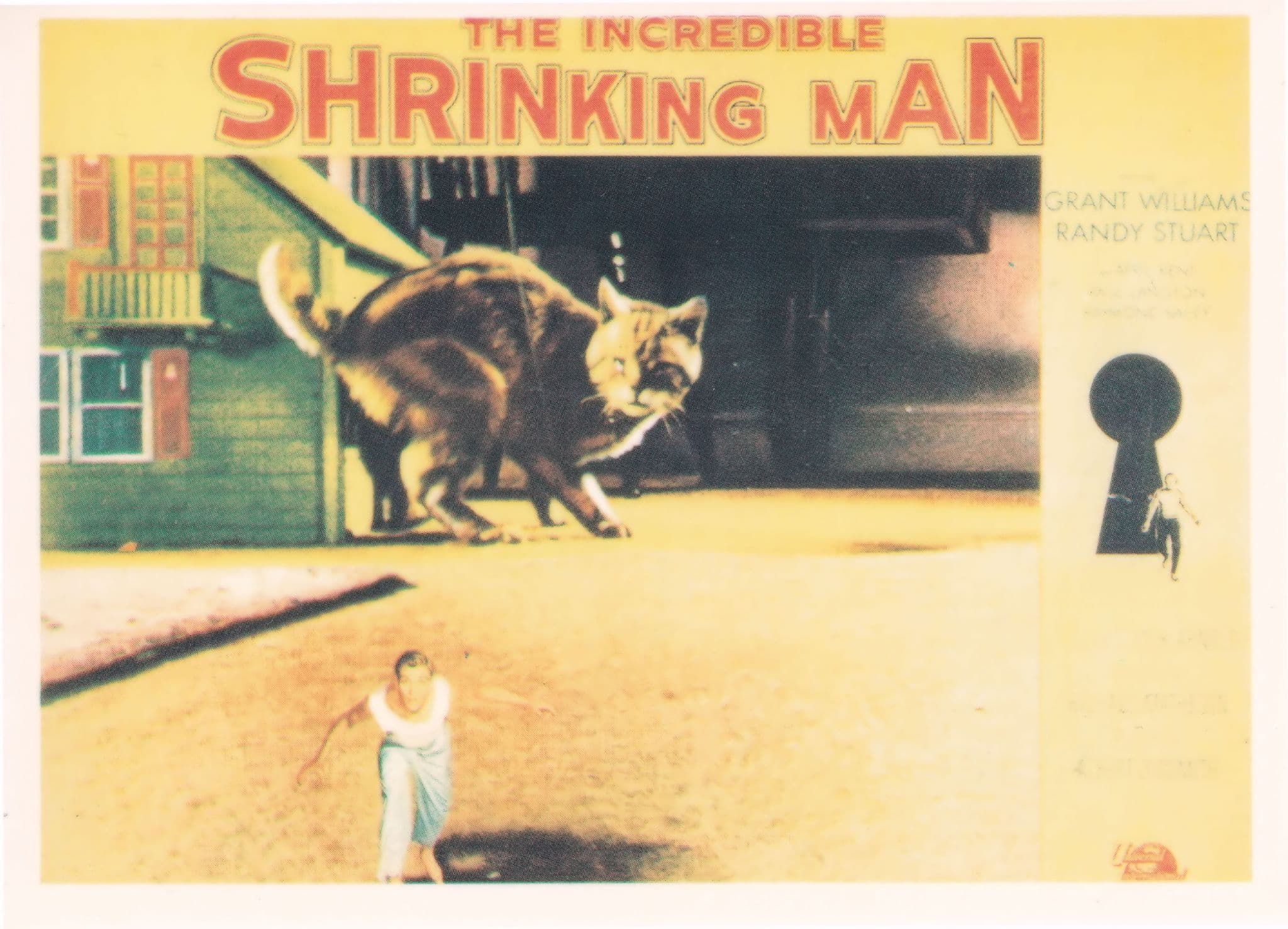 The Incredible Shrinking Man Film Movie Postcard