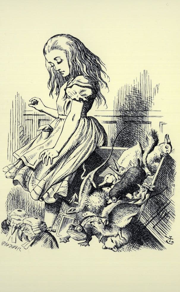 The Knight Alice Through The Looking Glass Book Postcard
