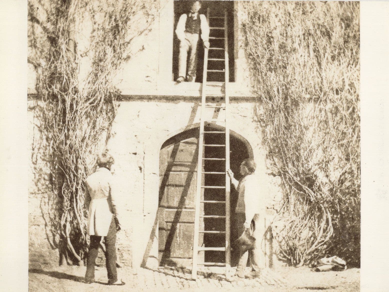 The Ladder Victorian Lacock Abbey Forces Of Nature Postcard