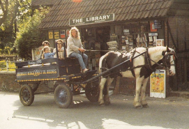 The Library Burley New Forest Wagon Horse Rides 4x Postcard s
