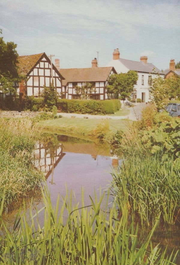 The Millstream Eardisland Hereford Limited Edition Postcard