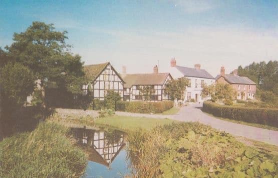 The Millstream Hereford Kathleen Freeman Ltd Postcard