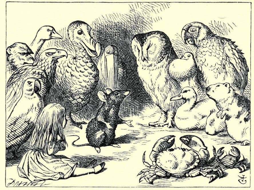 The Mouse Alice's Adventures in Wonderland Lewis Carroll Book Art Postcard