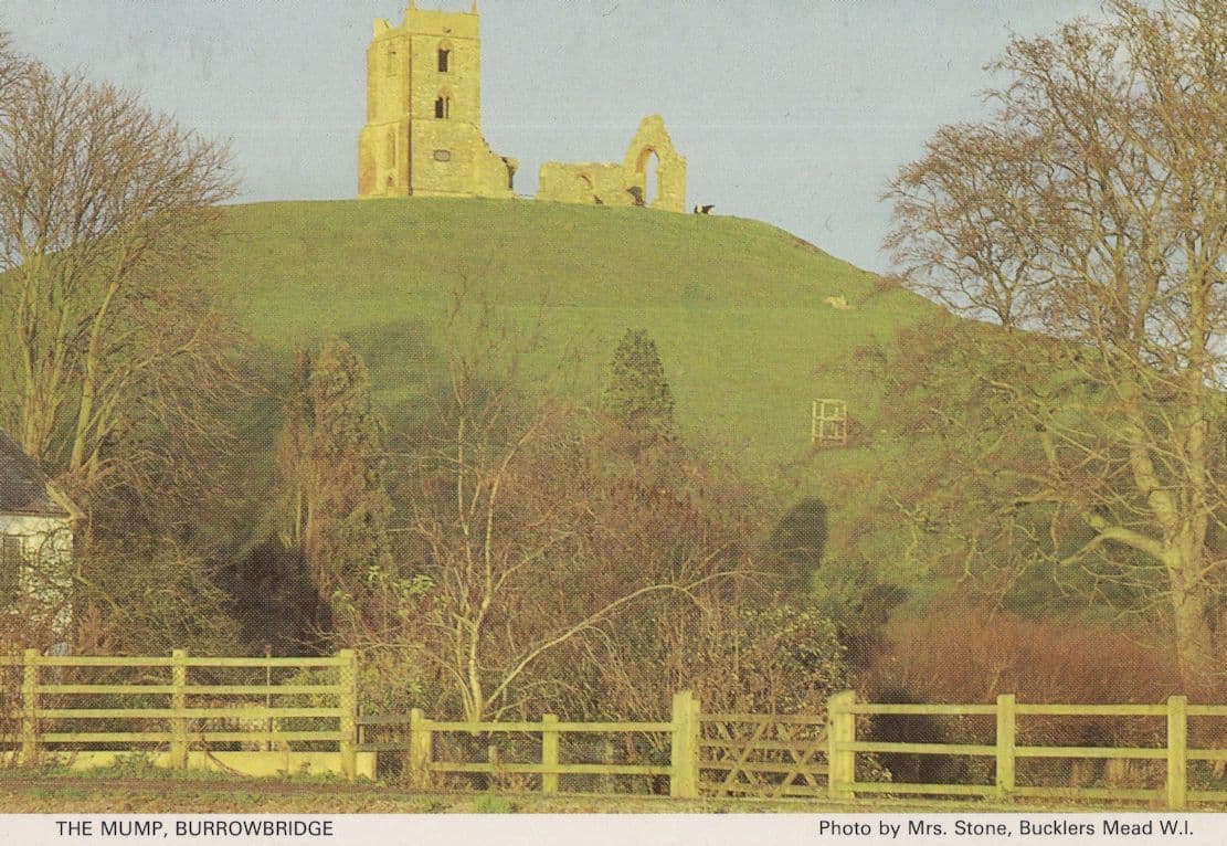 The Mump Murrowbridge Somerset Postcard
