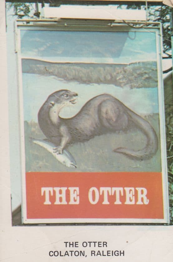 The Otter Colaton Rayleigh East Devon Inn Sign Bed & Breakfast Hotel Postcard