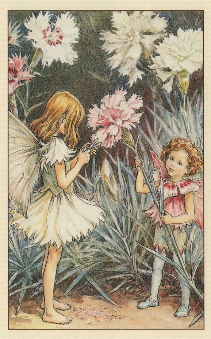 The Pink Fairies Fairy From WW2 Book Stunning Postcard