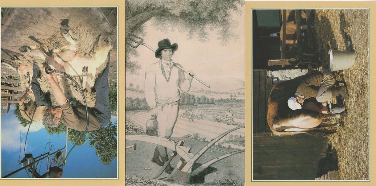 The Plough Valentine Green Farming Painting 3x Postcard