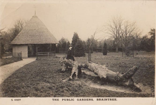 The Public Gardens Braintree Real Photo Postcard
