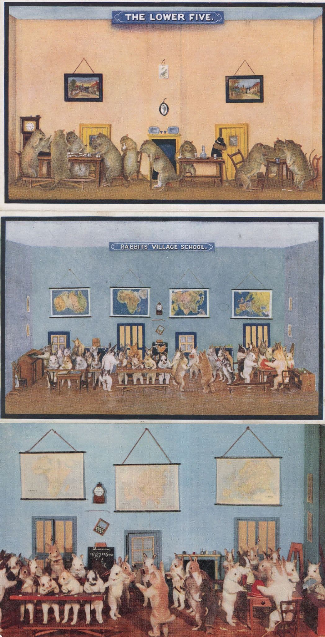 The Rabbits School Lower Five Geography Map 3x Vintage Postcard s