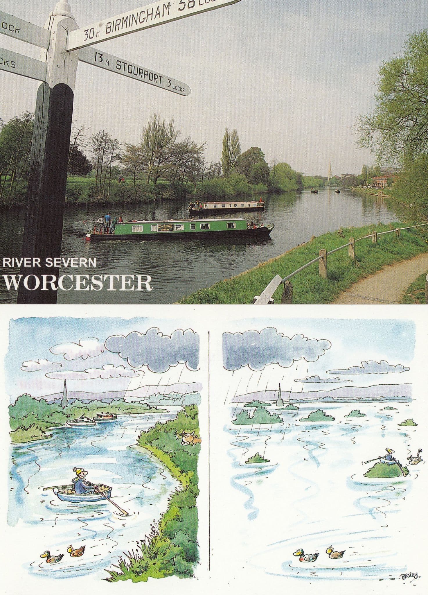 The River Severn Worcester Comic Humour Signpost 2x Postcard s