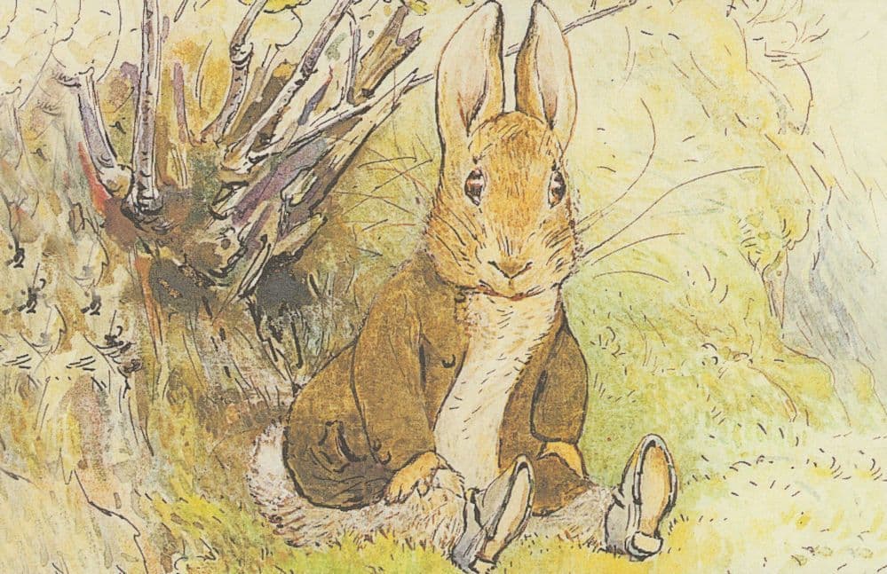 The Tale Of Benjamin Bunny 1904 Beatrix Potter Book Postcard
