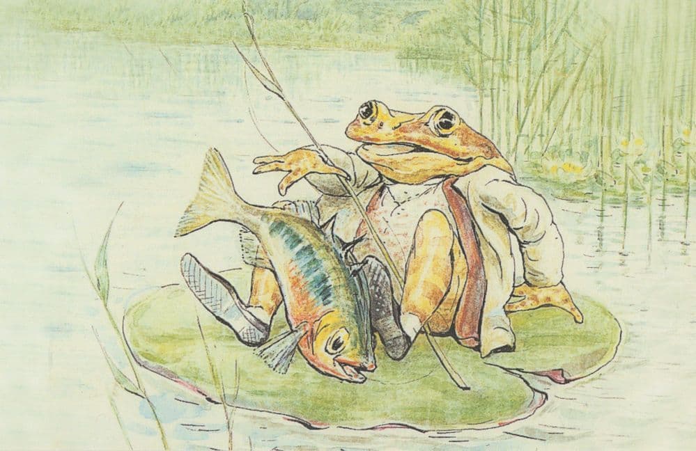 The Tale Of Jeremy Fisher Stickleback Beatrix Potter 1906 Book Postcard