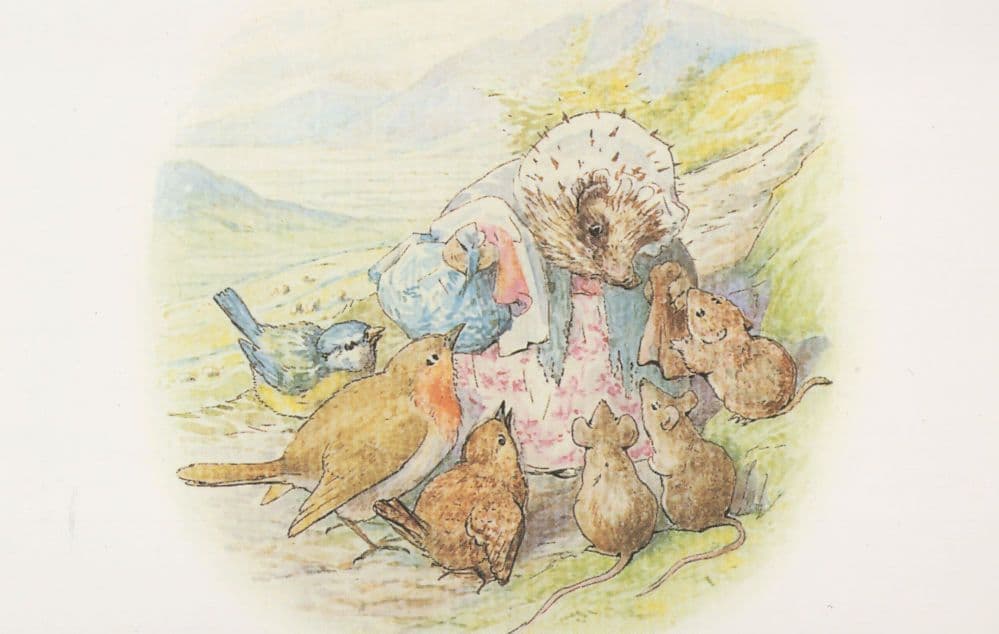 The Tale Of Mrs Tiggy Winkle Beatrix Potter 1905 Book Postcard
