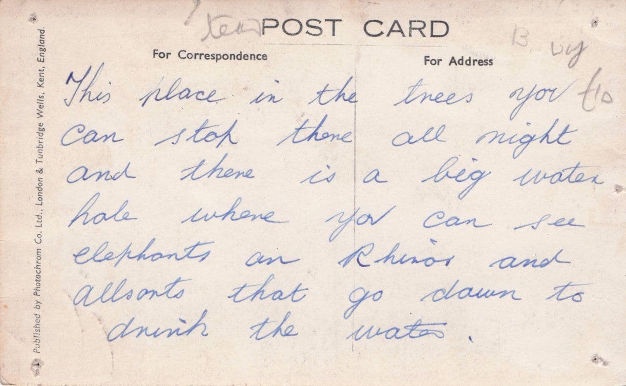 The Treetops Hotel Kenya Old RPC Africa Postcard & Message