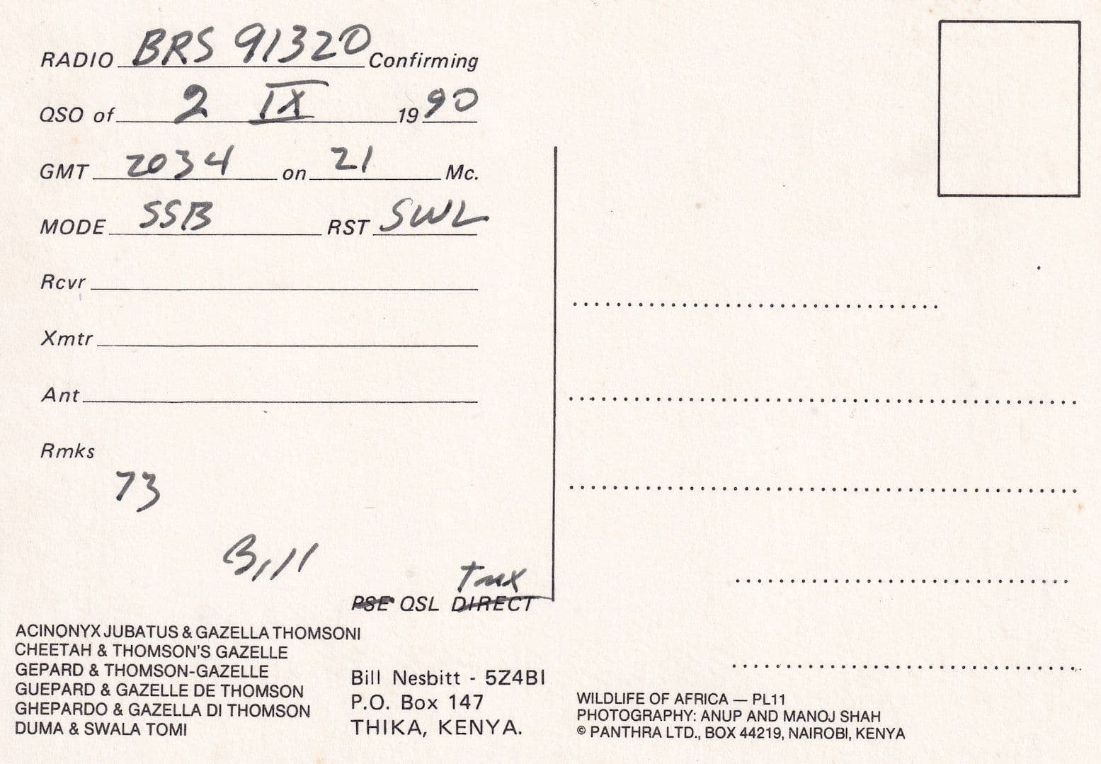 Thika Kenya Africa Leopard Cheetah Postcard QSL Radio Card
