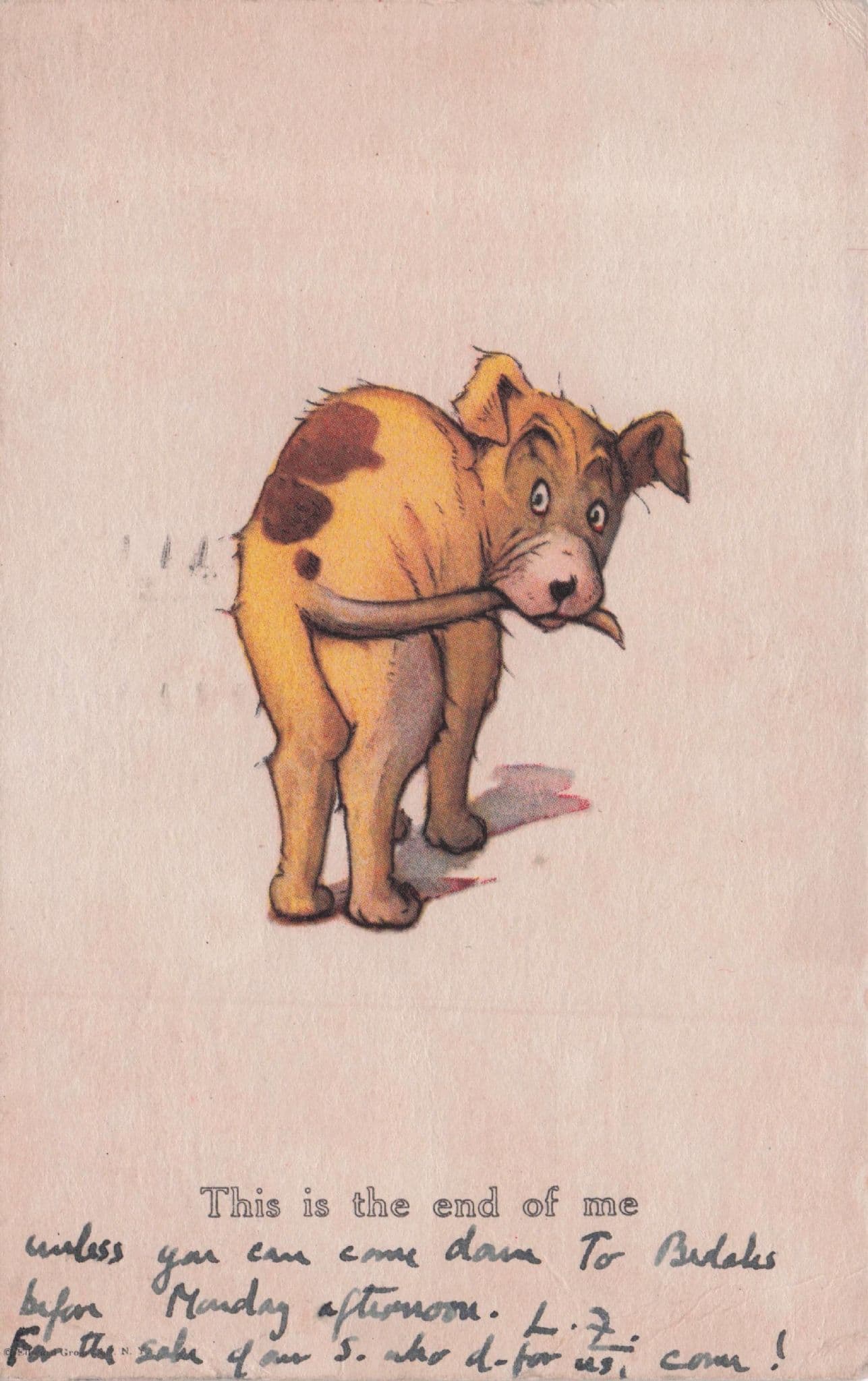 This Is The End Of Me Dog Animal Bum & Tail Old Alpha Comic Postcard