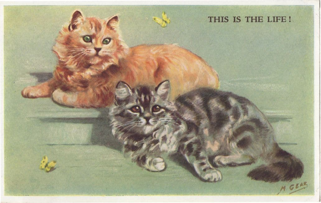 This Is The Life Mabel Gear Cat & Kitten Old Valentines Postcard
