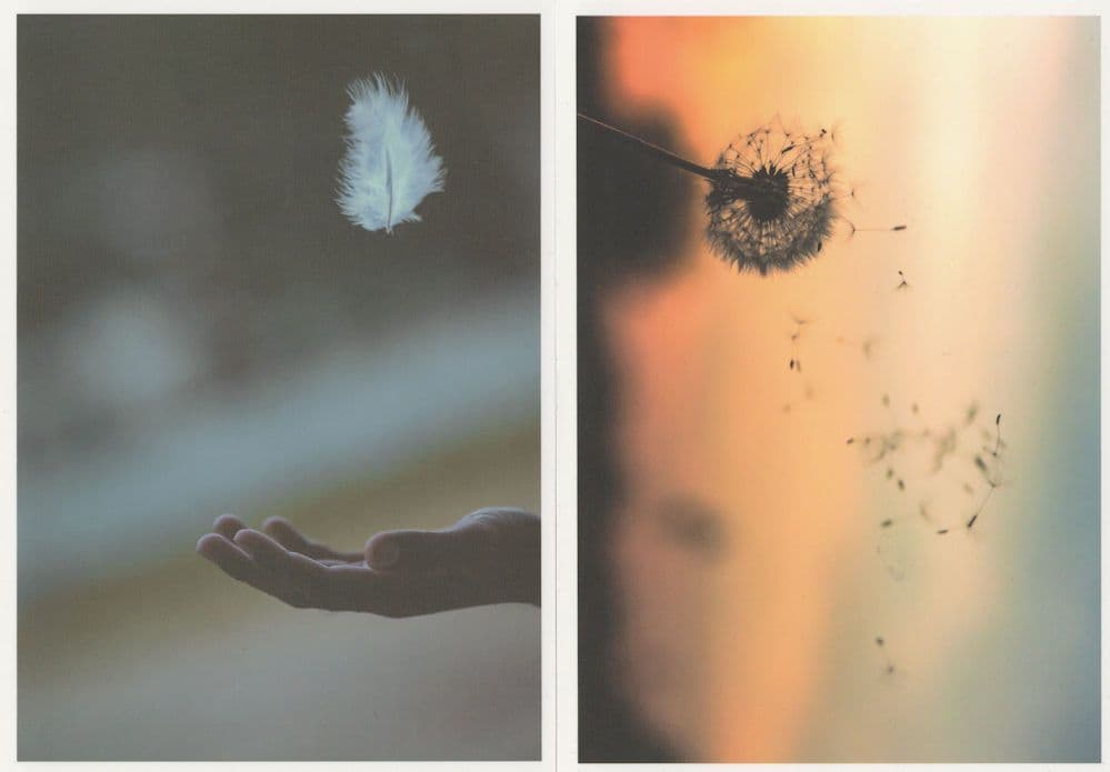 Thistle Plant Blowing & Feather In Wind Amazing German Postcard