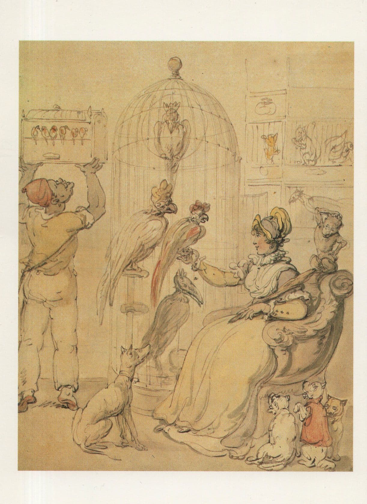 Thomas Rowlandson A Lady Surrounded By Her Pets Budgie Painting Postcard