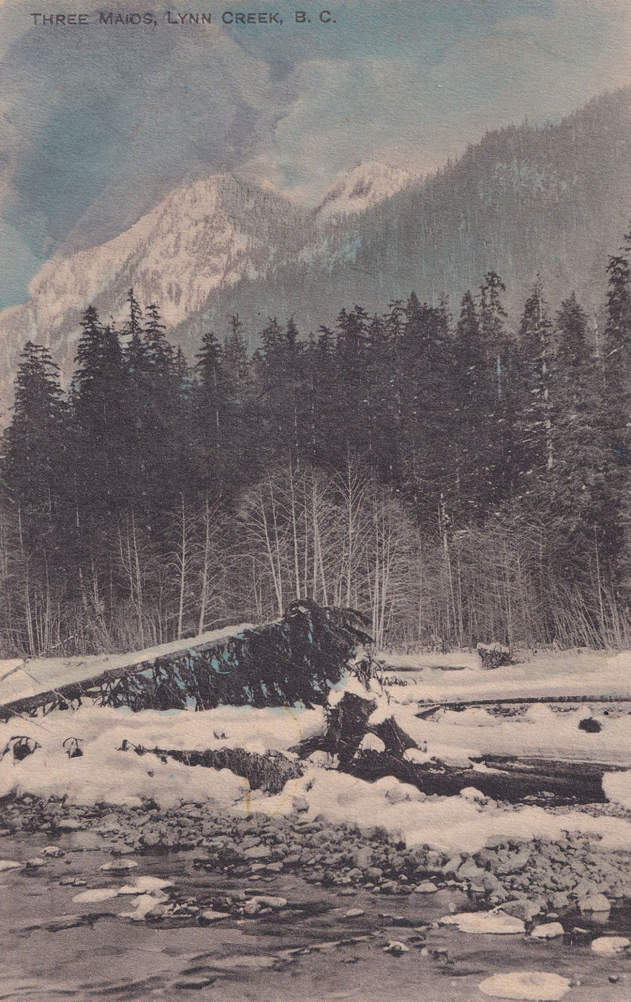 Three Maids Lynn Creek Canada Old BC Postcard