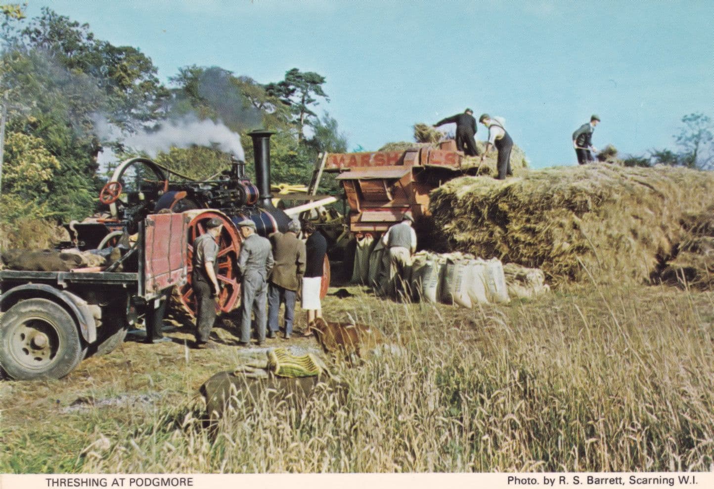 Threshing at Podgmore Norfolk Village Rare Postcard