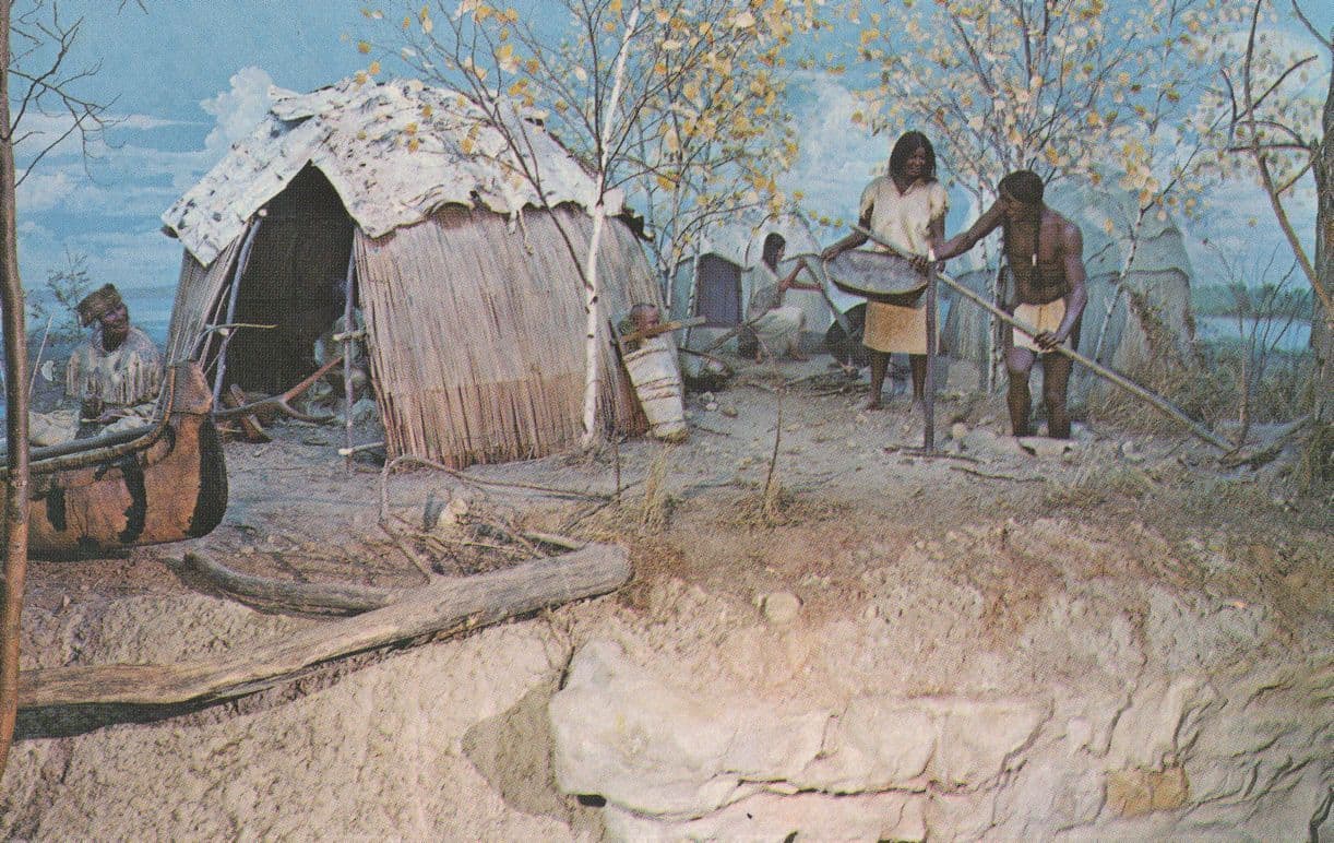 Threshing Wild Rice Menomini Indian Harvest USA Museum Postcard
