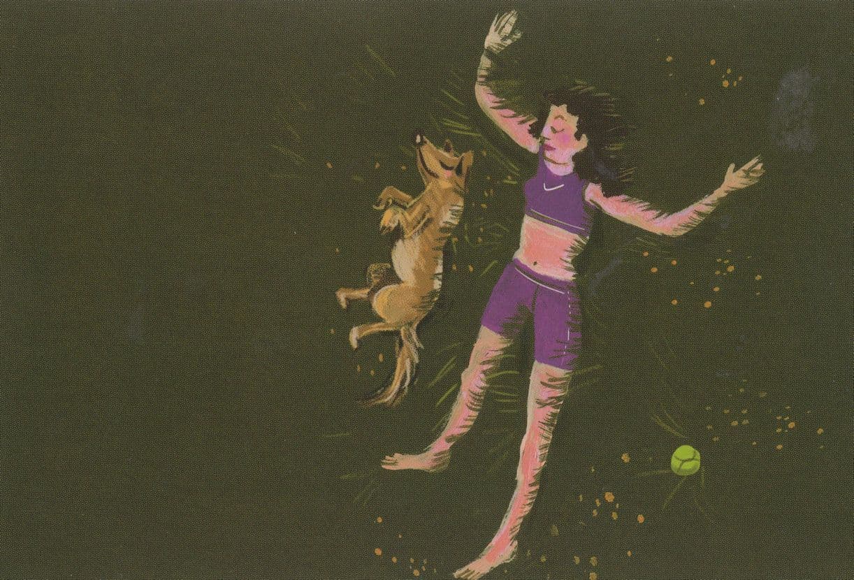 Tickle My Tummy Comic Dog Painting Postcard