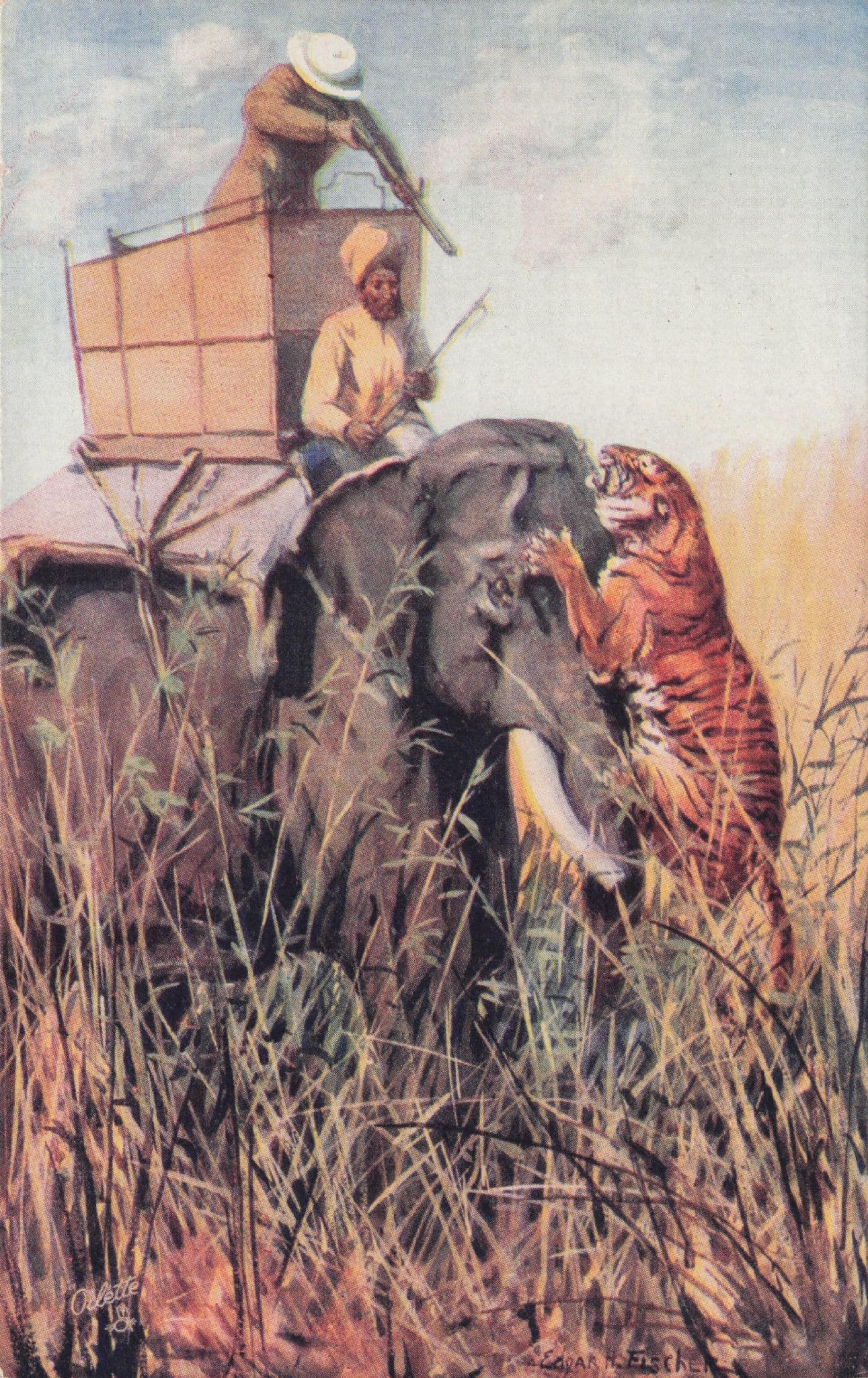 Tiger Animal Hunting Tucks Oilette Old Postcard