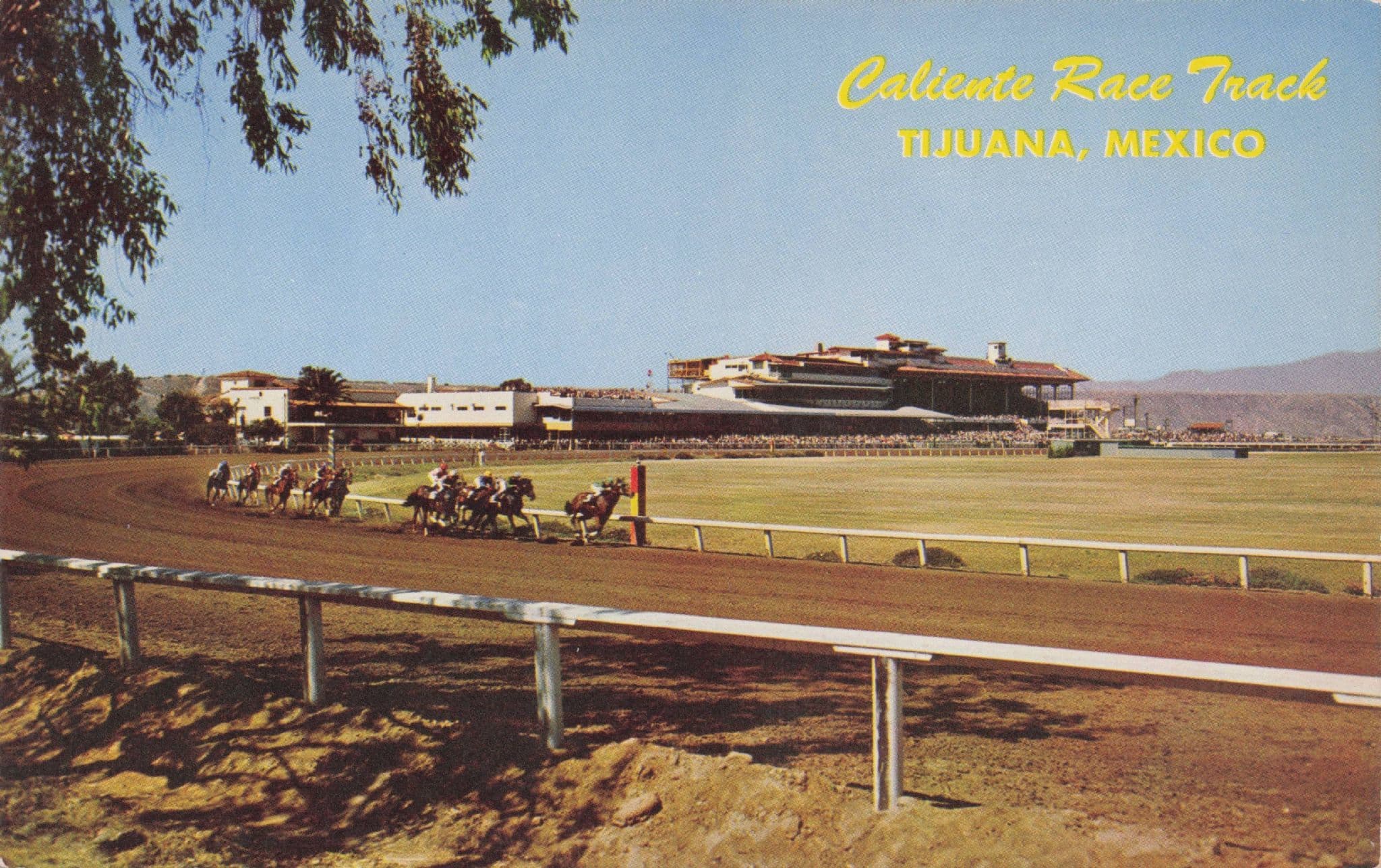 Tijuana Caliente Race Track Mexico Vintage Postcard