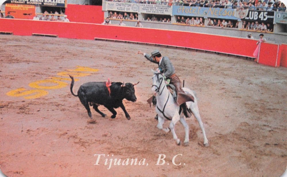 Tijuana Monumental Plaza BC Corrida De Toros Bullfight Mexico Postcard