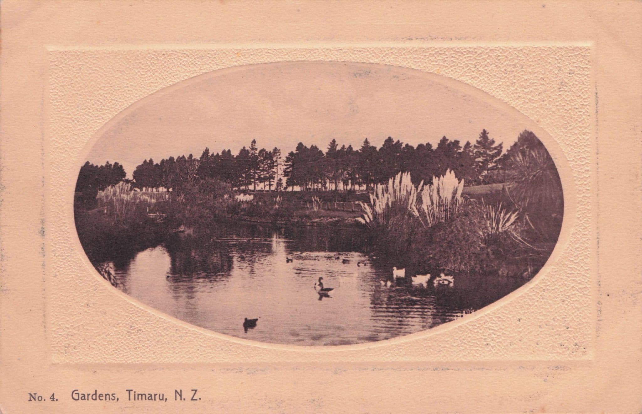 Timaru Gardens Birds River Lake New Zealand Antique Postcard