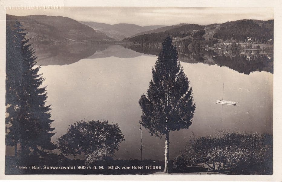 Titisee Schwarzwald View From Blick Vom Hotel Titisee 1920s German Postcard