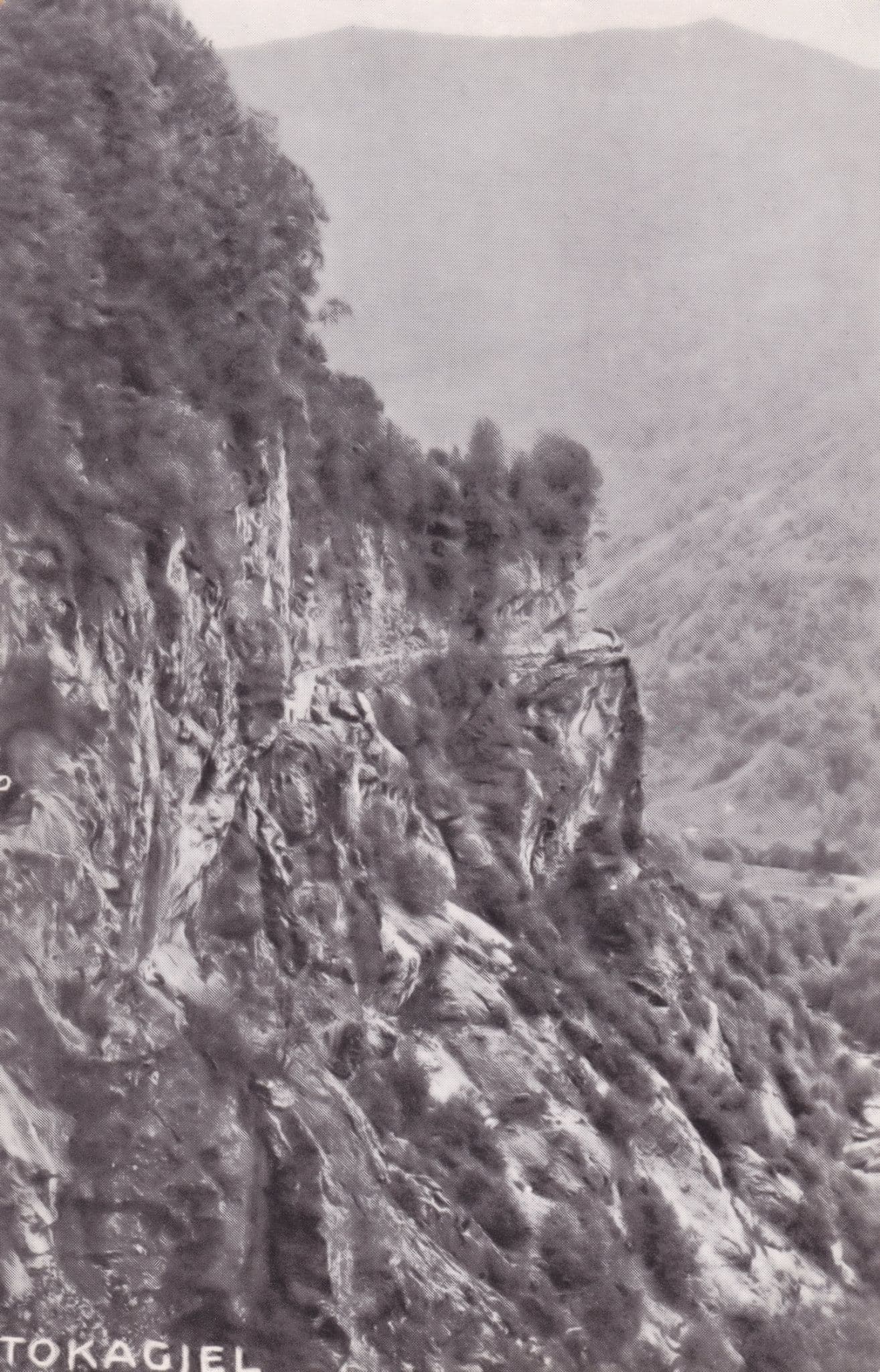 Tokagjel Norway Old Postcard