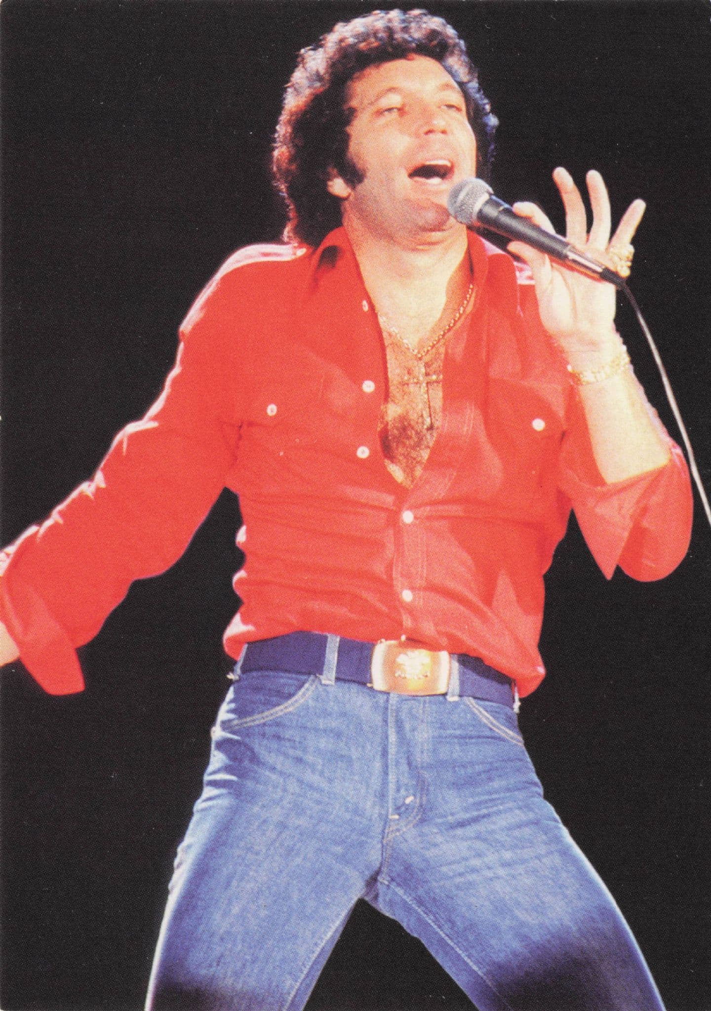 Tom Jones Vintage Live Concert Rare Music Pyramid Photo Postcard