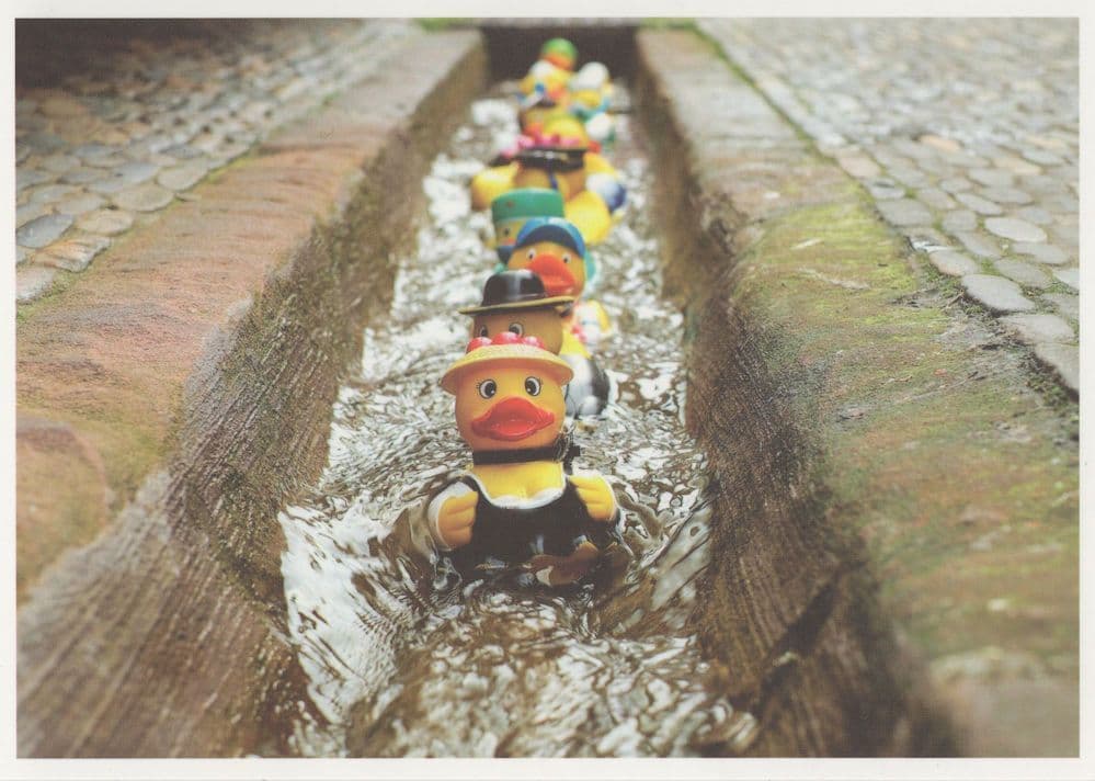 Toy Model Duck Race Down Drain Chute Stunning Racing Postcard