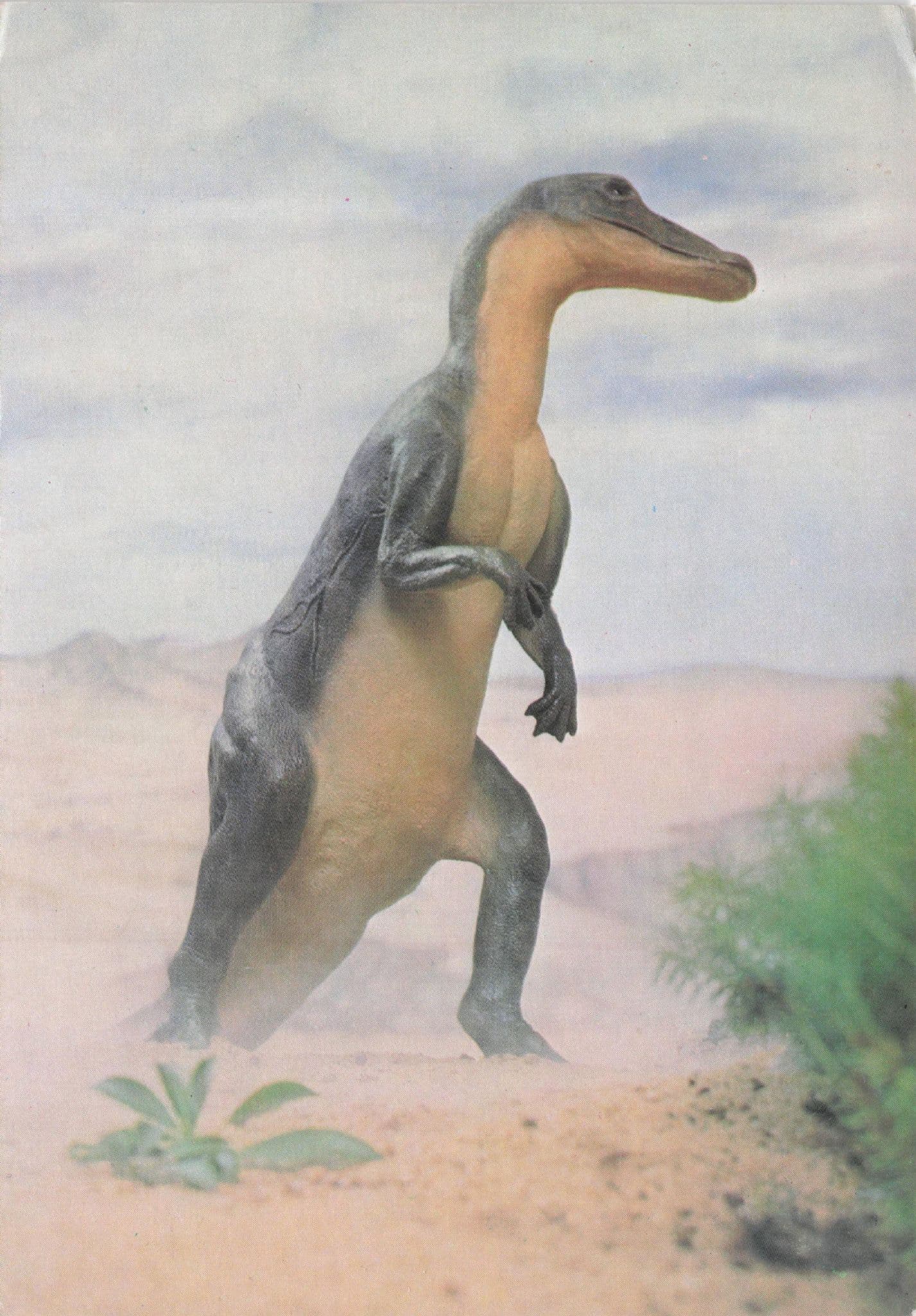 Trachodon Dinosaur Rare Prehistoric Painting Postcard