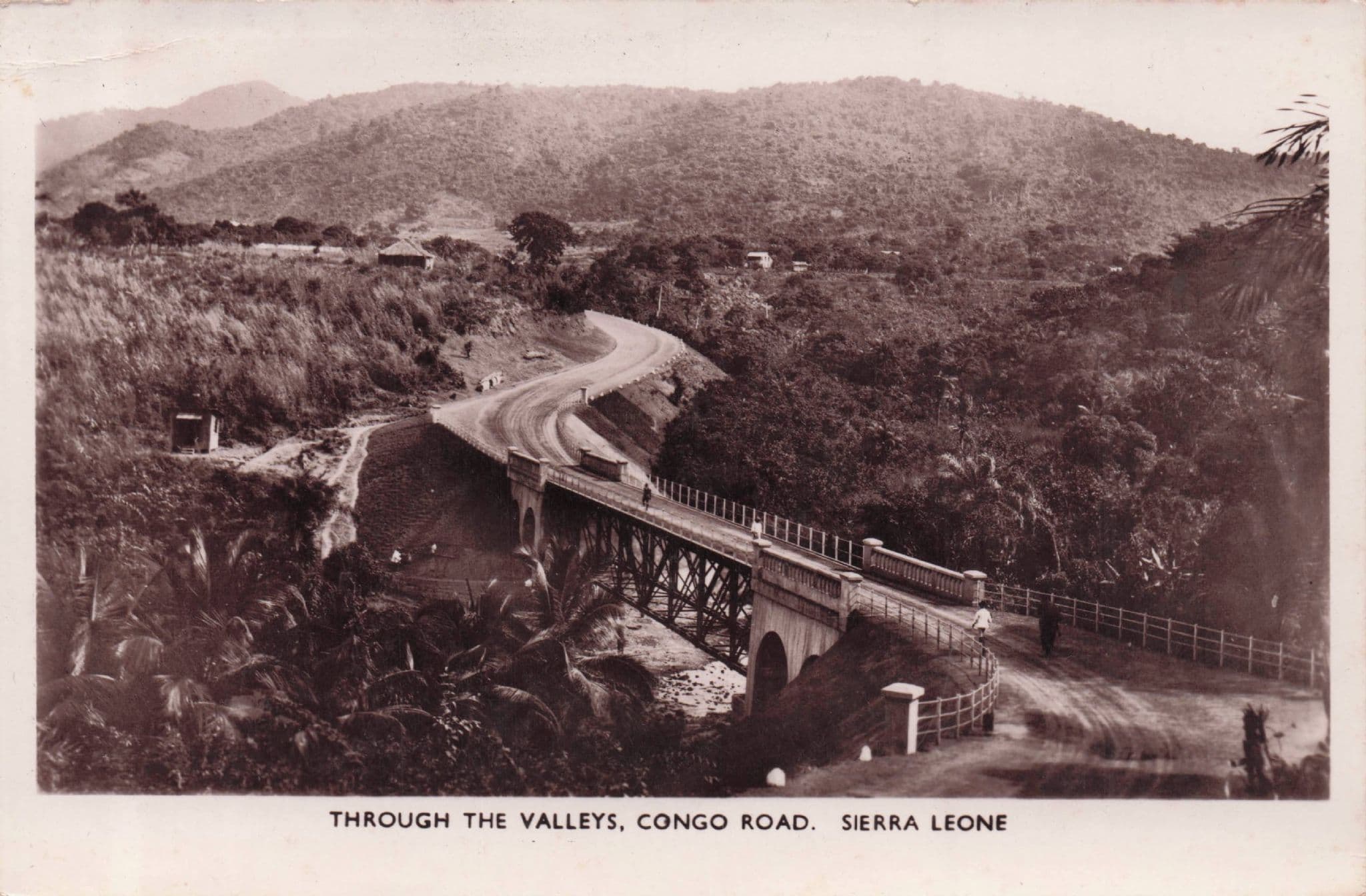 Transport Bridge at Congo Road Sierra Leone Africa RPC Old Postcard