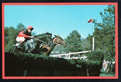 Tryon North Carolina Horse Racing Block House Race Madamber Jockey Rare Postcard