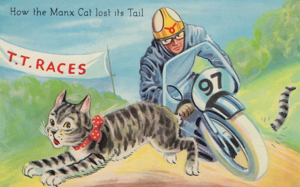 TT Races Isle Of Man How The Manx Cat Lost Its Tail Postcard